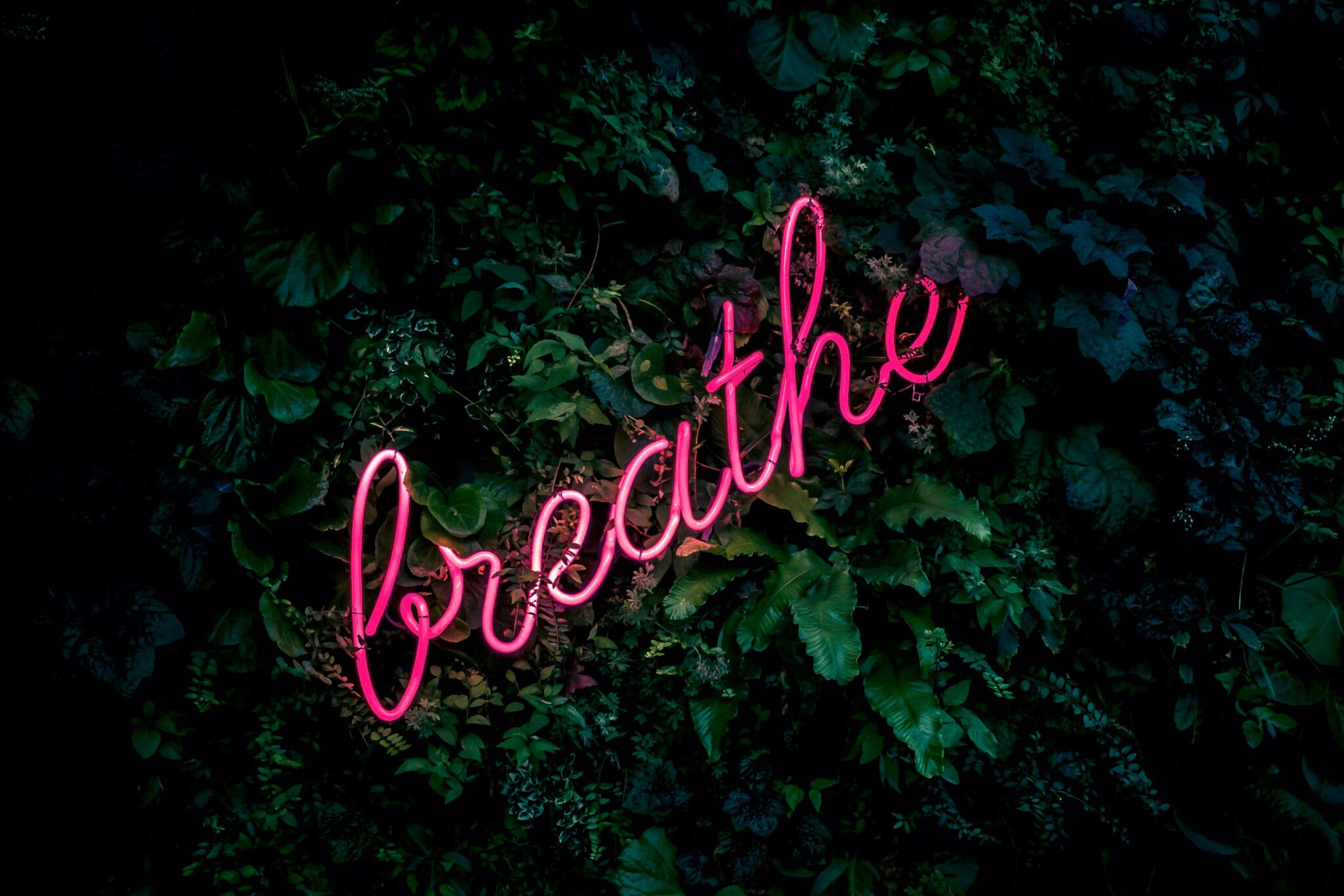 Blog 2 braething