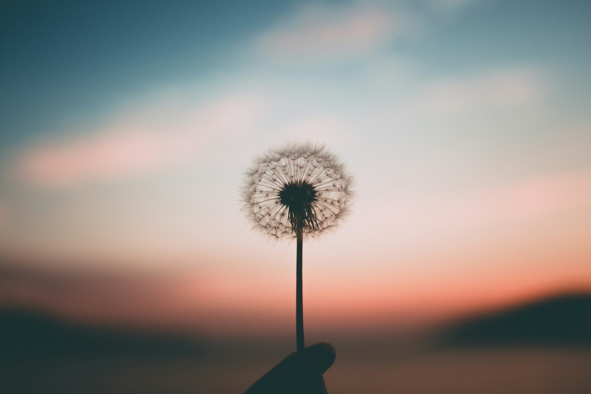 Blog 9 meditation