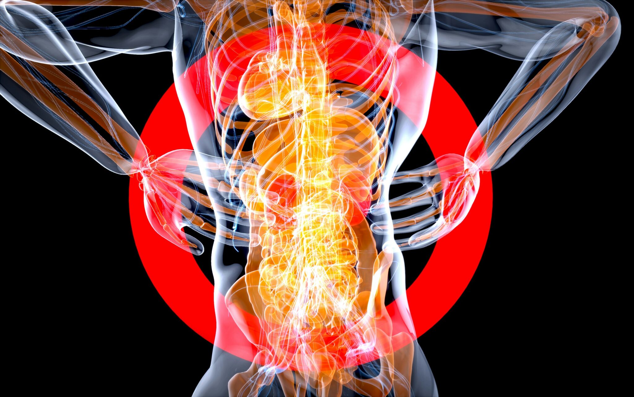 Blog 8 lower back pain
