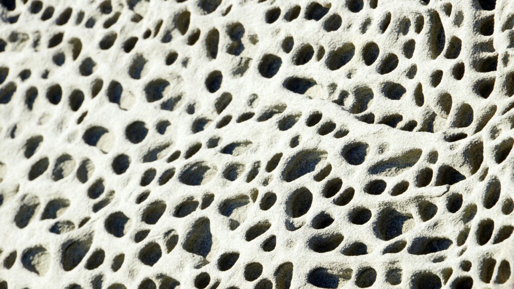 Exercise for Bone Health Part 1: What You Need to Know 1 boris misevic ujyCirnnsBI unsplash