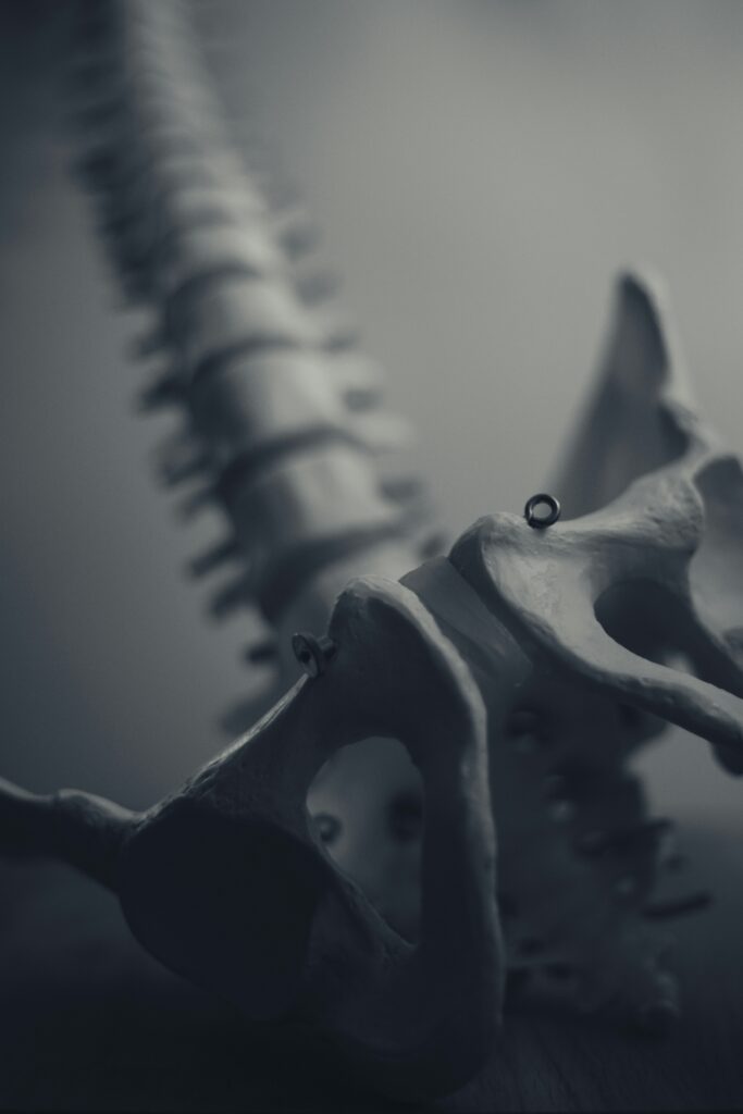 Exercise for Bone Health Part 1: What You Need to Know 2 otto norin KbpLSfr1S Y unsplash