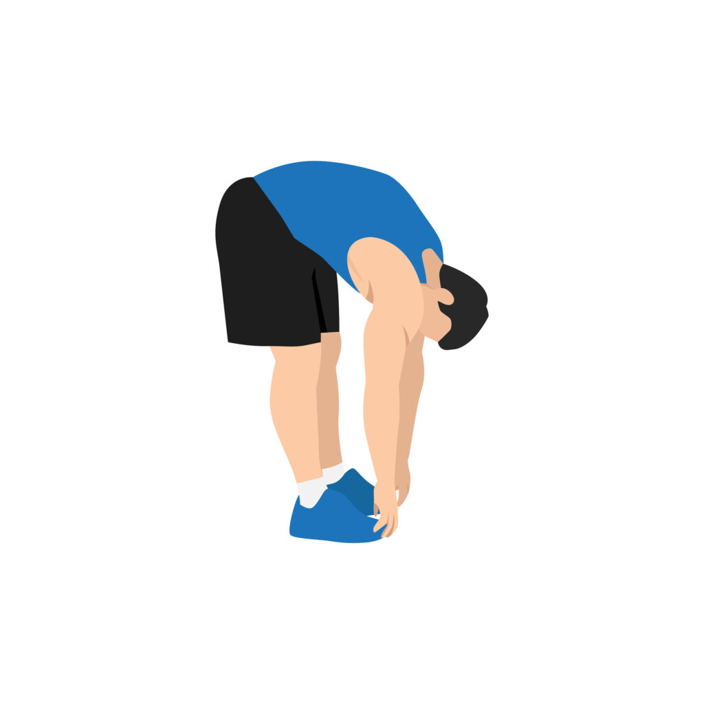 forward fold stretch