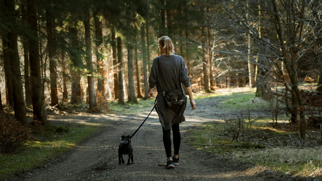 Working from Home: How to Move More and Sit Less 5 martin dalsgaard sGV1QDMM0Gg unsplash
