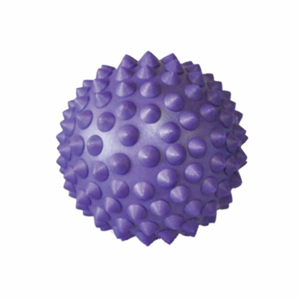 Purple Spikey Massage Ball