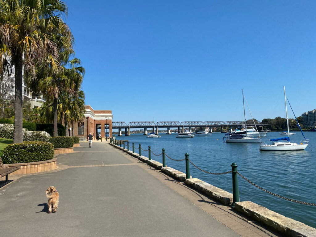 5 Key Tips for Better Walking 6 Dog-walking-along-sidewalk-coming-up-to-Iron-Cove-bridge