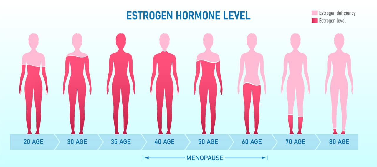 estrogen hormone level